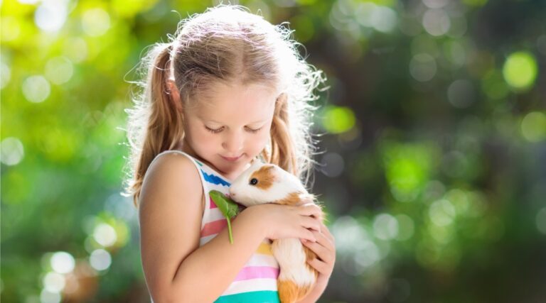 The Role of Pets in Developing Responsibility and Compassion in Children